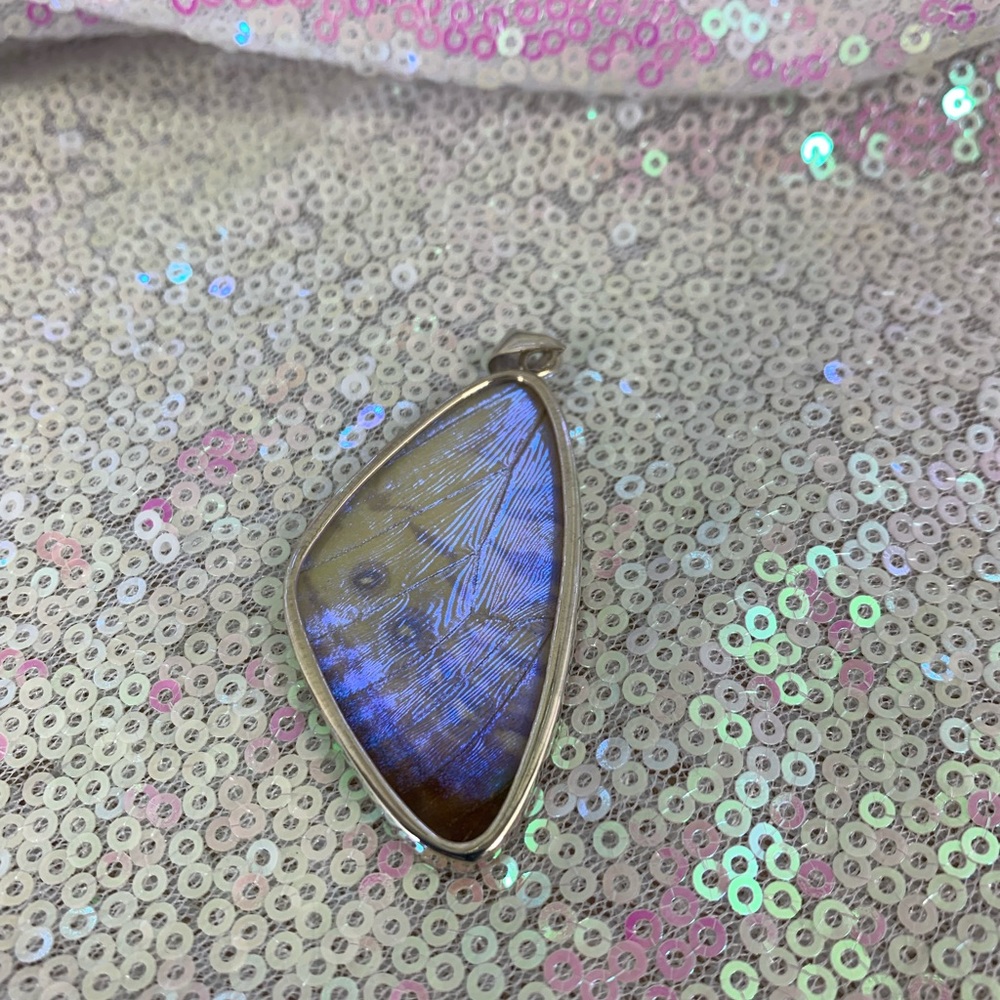 Butterfly wing